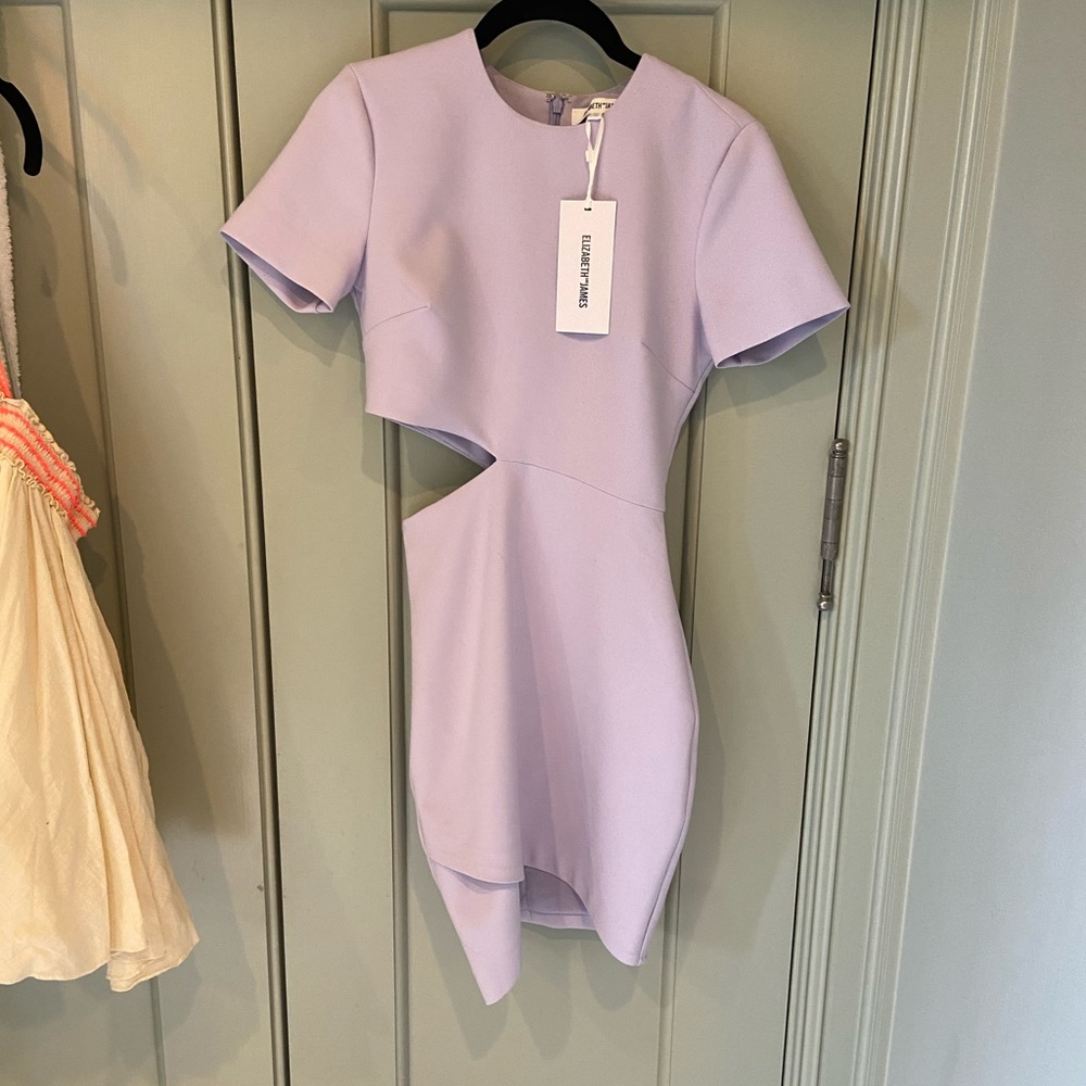 Elizabeth and James aiala cut-out cocktail dress